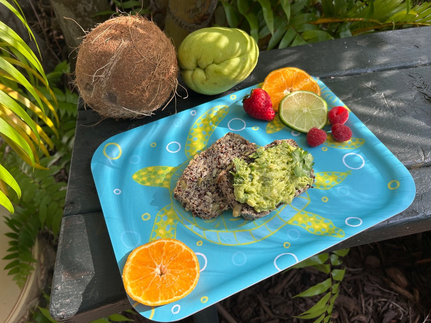 Medium Tray: Turtles