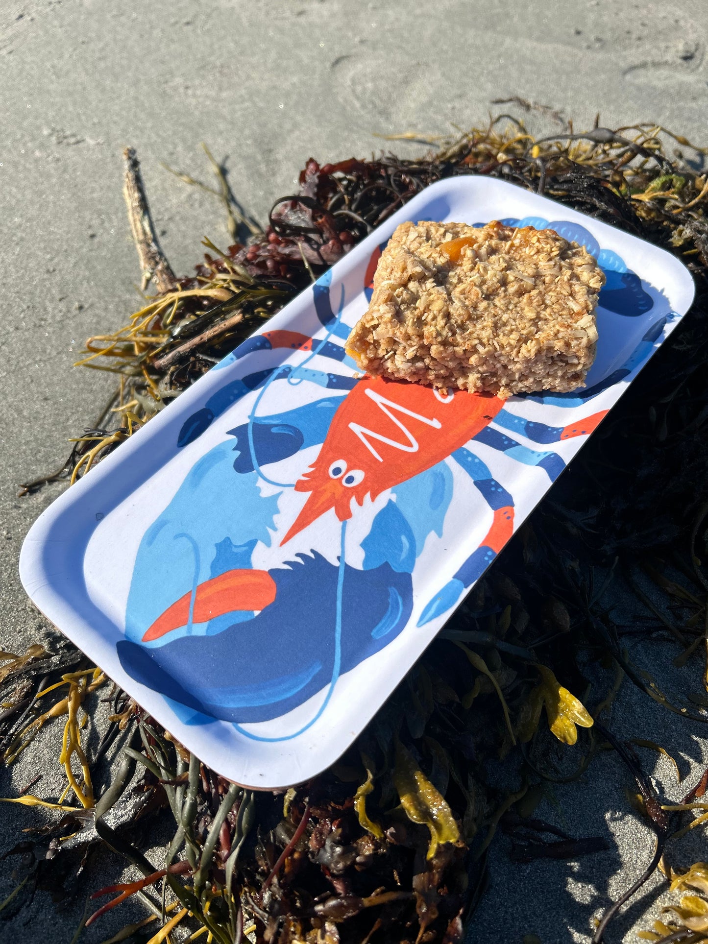 Small Tray: Nautical Maine Lobsters