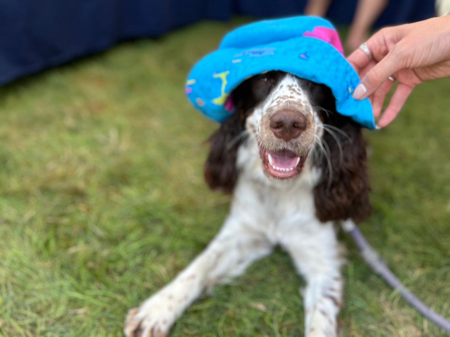 New! Cascp Bay Bucket Hat