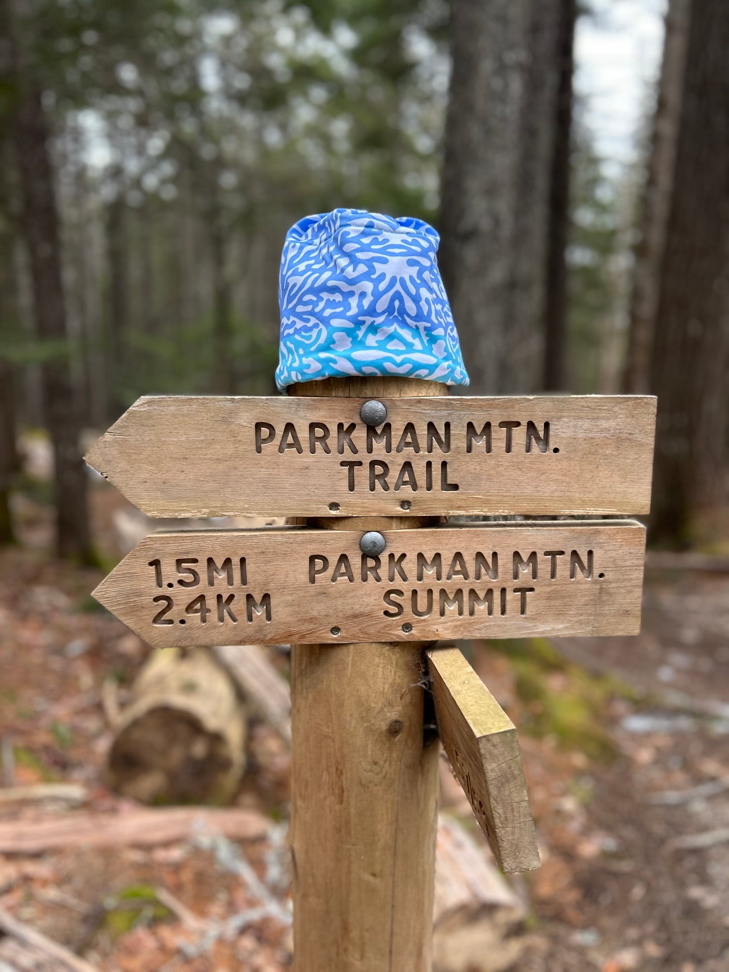 Nordic Hat: Blue Coral