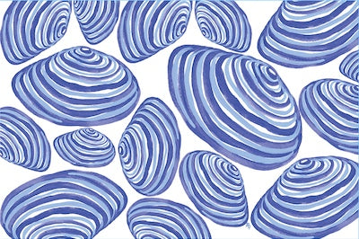 Clams on White Pillow