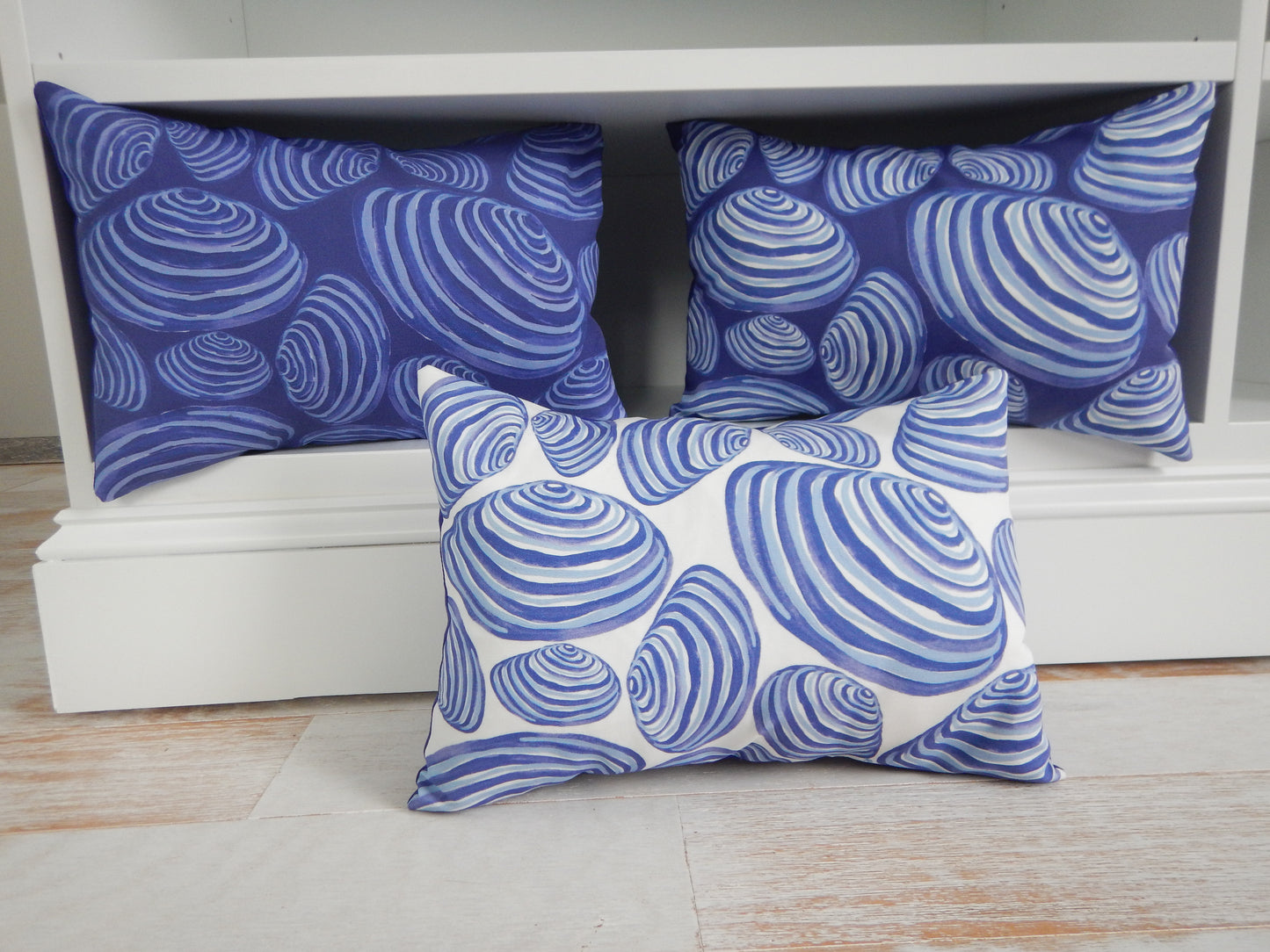 Clams on White Pillow