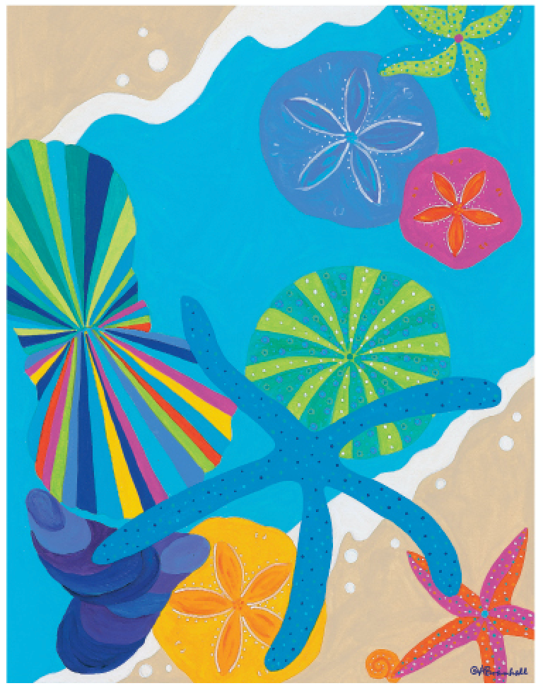 Shells 11x14 Poster Print