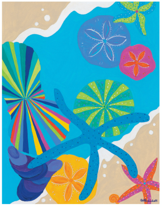 Shells 11x14 Poster Print