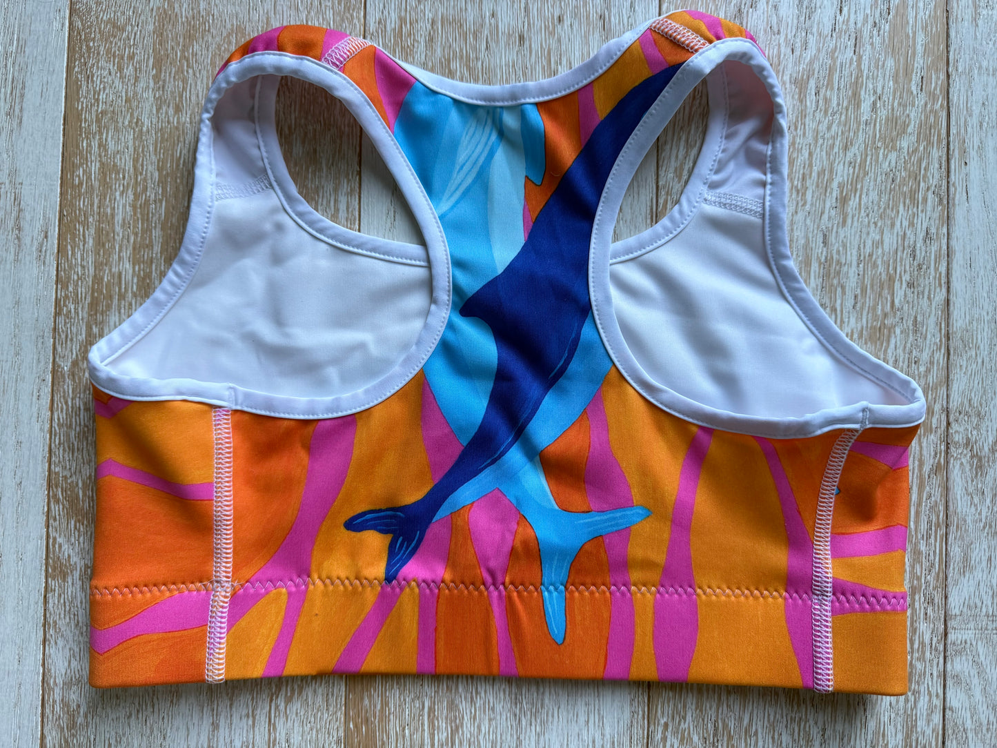 NEW! Dolphin & Porpoise