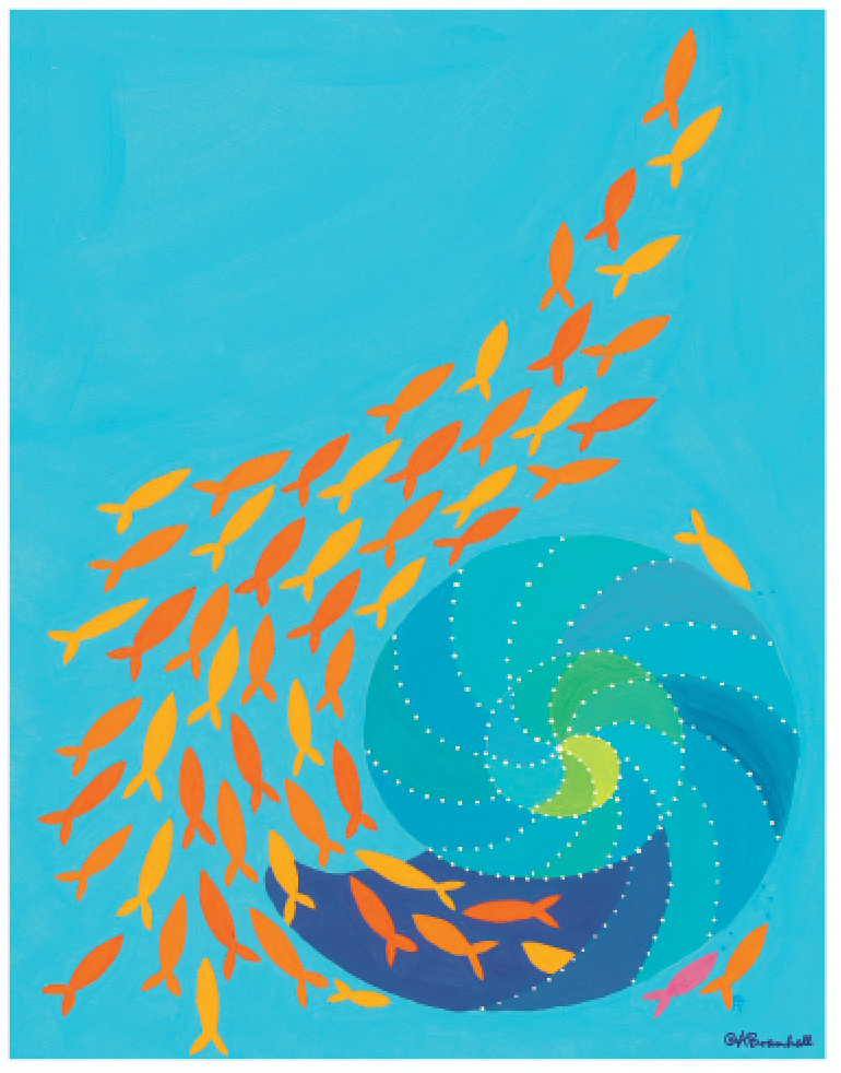 Shell Fish 11x14 Poster Print – FestiveFish