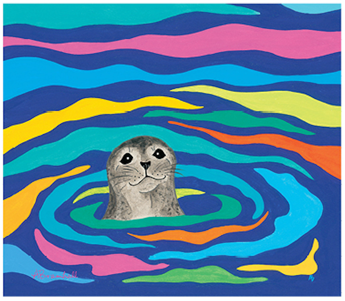 Harbor Seal & Wee Fish Microfiber Cloth – FestiveFish