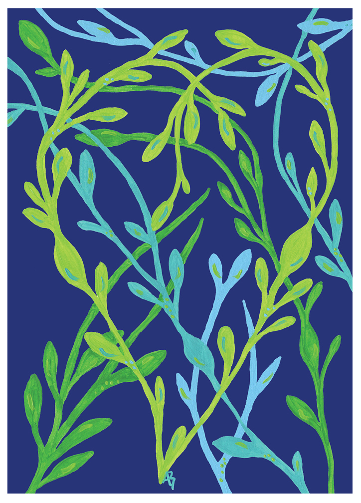 Love Seaweed Card